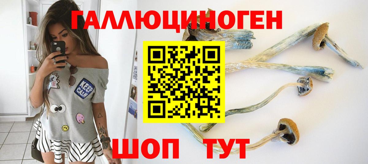 Туапсе  Псилоцибиновые грибы ЛСД  Вход с VPN 